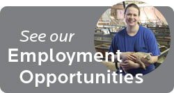 See our Employment Opportunities