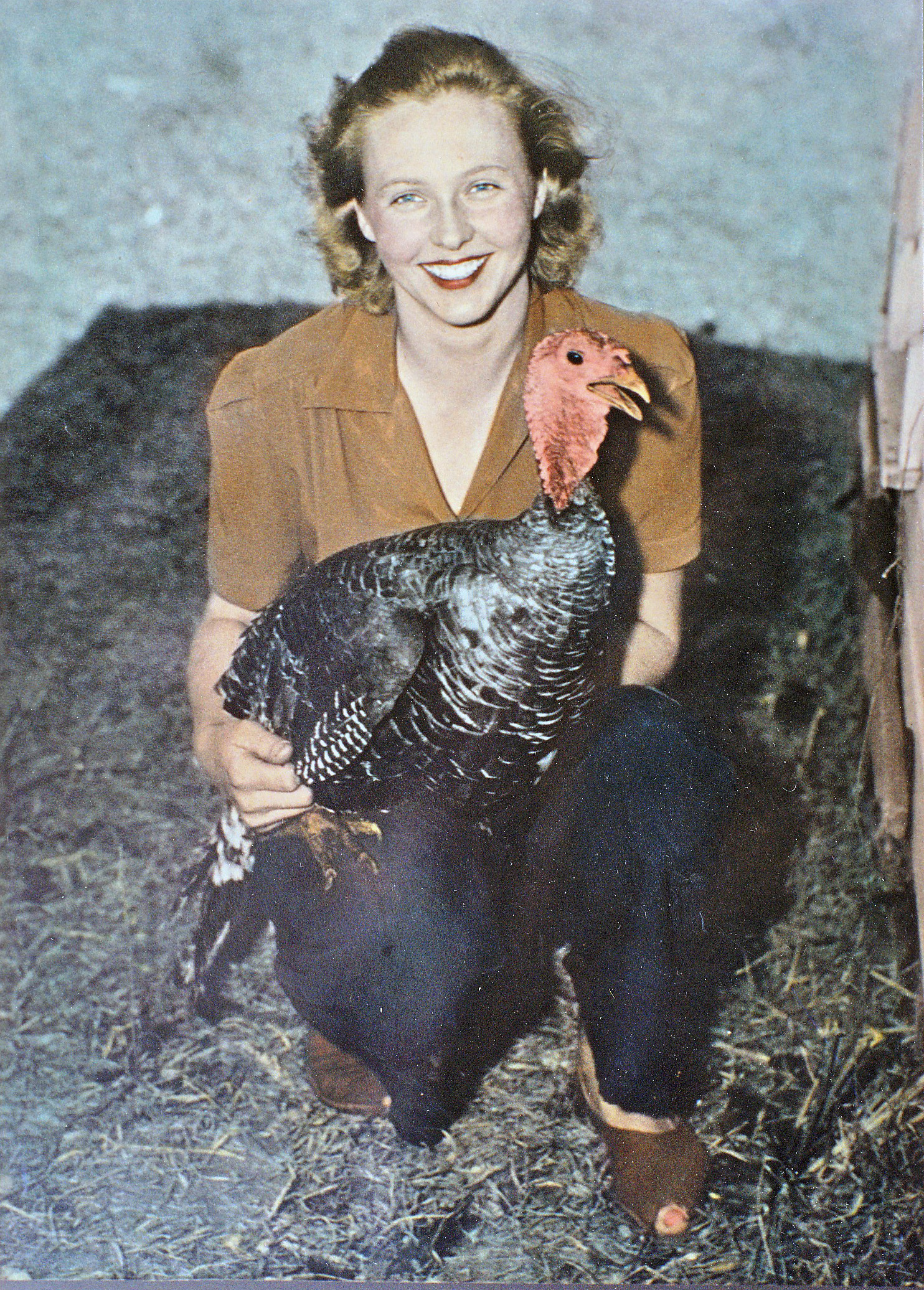 Our History Holden Farms